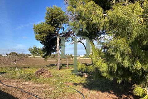 Landejendom i Carovigno, Brindisi, Carovigno - € 149.000 | Ref: Villa Guaceto - foto 10
